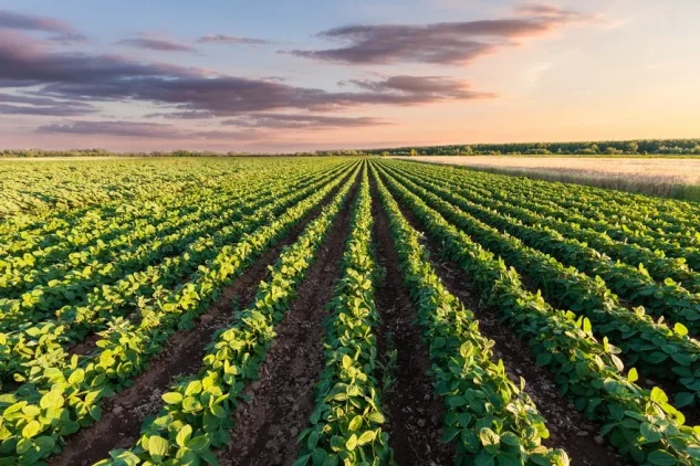 PREMIUM FARMLAND (1)