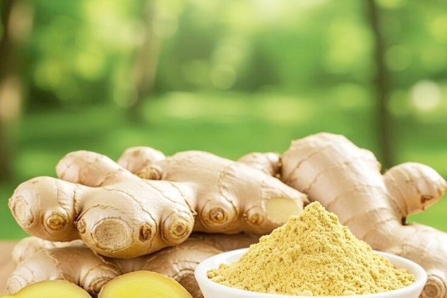 TREEBERRY GINGER TURMERIC (3)