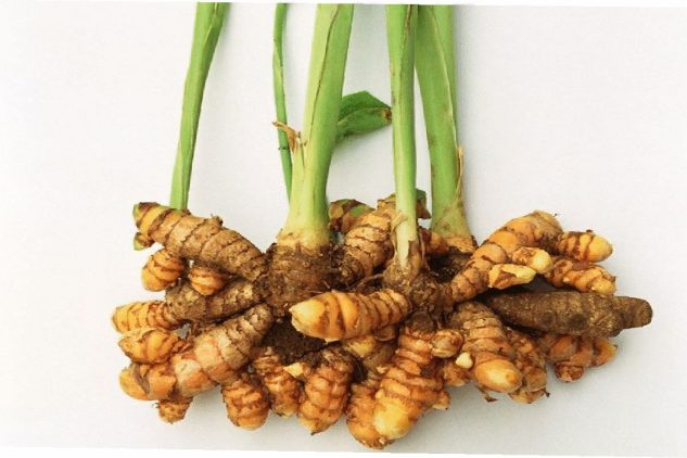 TREEBERRY GINGER TURMERIC (8)