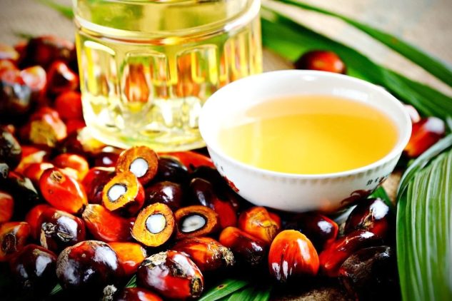 TREEBERRY OILPALM (3)