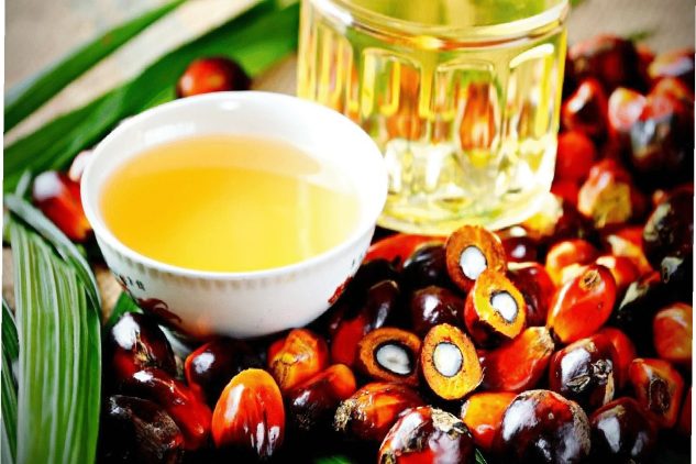 TREEBERRY OILPALM (7)