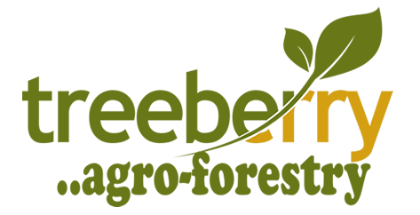 Treeberry%20Limited