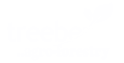 Treeberry%20Limited
