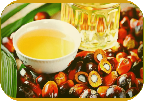 Treeberry%20Limited